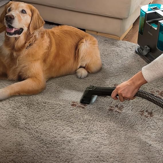 Photo montrant un aspirateur eau et poussiere en action